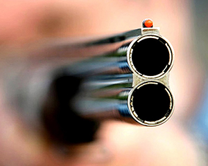 28ceb25f075504a08eafab77489f4d2d