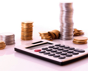 Ставку оподаткування для пенсій пропонують знизити 1 debt