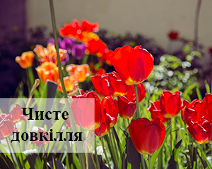 Колектив суду долучився до заходу «Чисте довкілля» 1 IMG 5260 2