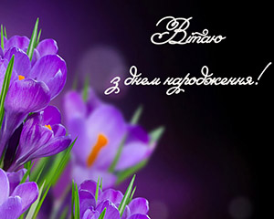 korotaeva dr