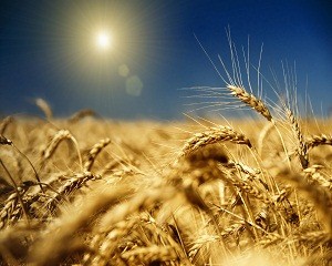 depositphotos 3380237 m1