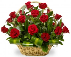 29baadfe80cf998b04ca246a6d4c6c45