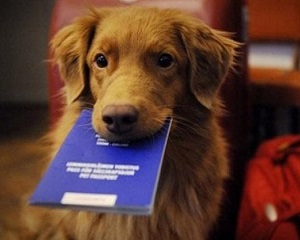 88309452416336413641364114000