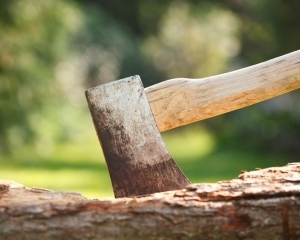 1472412157 20160318115712n