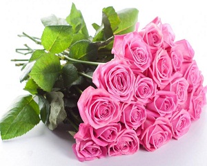 buket 62 0 1